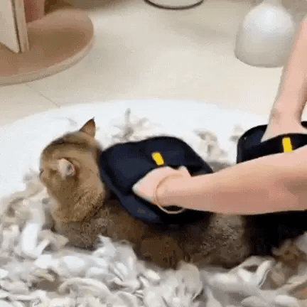 FurLift Luxe – Pet Hair Remover & Grooming Glove